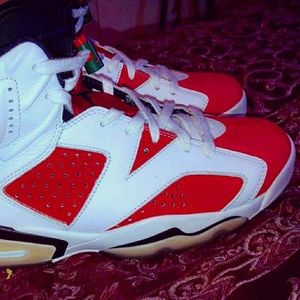 Jordan 6's Gatorade's